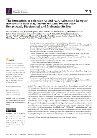 The Interaction of Selective A1 and A2A Adenosine Receptor Antagonists with Magnesium and Zinc Ions in Mice: Behavioural, Biochemical and Molecular Studies