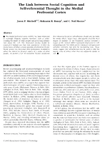 The Link Between Social Cognition and Self-Referential Thought in the Medial Prefrontal Cortex