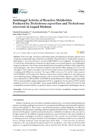 Antifungal Activity of Bioactive Metabolites Produced by Trichoderma Asperellum and Trichoderma Atroviride in Liquid Medium