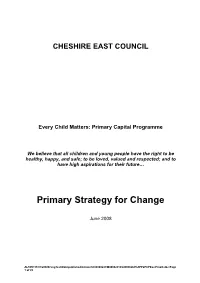 Primary Strategy for Change