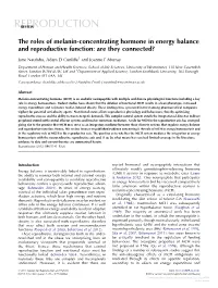 The Roles of Melanin-Concentrating Hormone in Energy Balance and Reproductive Function: Are They Connected?