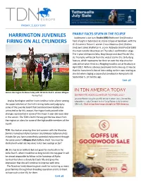 Harrington Juveniles Firing on All Cylinders