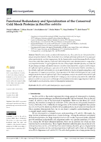 Functional Redundancy and Specialization of the Conserved Cold Shock Proteins in Bacillus Subtilis