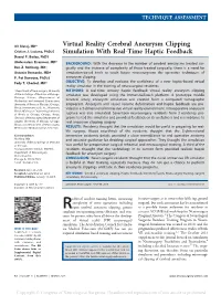 Virtual Reality Cerebral Aneurysm Clipping Simulation with Real-Time Haptic Feedback