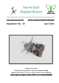 Newsletter No