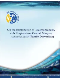 On the Exploitation of Elasmobranchs, with Emphasis on Cowtail Stingray Pastinachus Sephen (Family Dasyatidae)