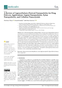A Review of Lignocellulosic-Derived Nanoparticles for Drug Delivery Applications: Lignin Nanoparticles, Xylan Nanoparticles, and Cellulose Nanocrystals