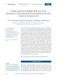 A Simple and Efficient Multiplex PCR Assay for the Identification of Mycobacteriumgenus and Mycobacterium Tuberculosis Complex T