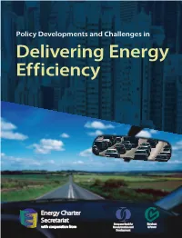 Delivering Energy Efficiency Policy Developments and Challenges in Delivering Energy