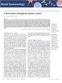 A Brief Journey Through the Immune System