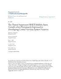 The Tumor Suppressor HHEX Inhibits Axon Growth When Prematurely Expressed in Developing Central Nervous System Neurons