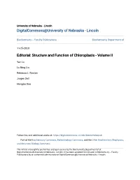 Editorial: Structure and Function of Chloroplasts - Volume II