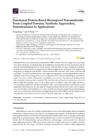 Functional Protein-Based Bioinspired Nanomaterials: from Coupled Proteins, Synthetic Approaches, Nanostructures to Applications