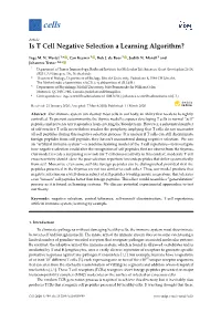 Is T Cell Negative Selection a Learning Algorithm?