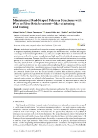 Miniaturised Rod-Shaped Polymer Structures with Wire Or Fibre Reinforcement—Manufacturing and Testing