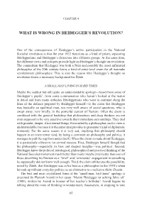 What Is Wrong in Heidegger's Revolution?