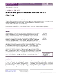 Insulin-Like Growth Factors: Actions on the Skeleton
