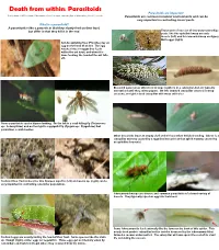 What Is a Parasitoid? a Parasitoid Is Like a Parasite in That They Slowly Feed on Their Host, but Differ in That They Kill It in the End
