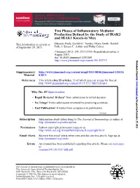 And IRAK1 Knock-In Mice Production Defined by the Study of IRAK2 Two