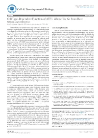 Cell Type-Dependent Function of ATF5: Where We Go from Here Kathleen L