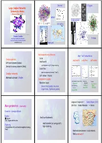 Large Complex Networks: Deterministic Models