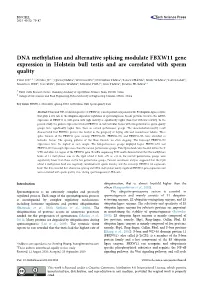 DNA Methylation and Alternative Splicing Modulate FBXW11 Gene Expression in Holstein Bull Testis and Are Correlated with Sperm Quality