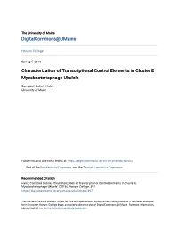 Characterization of Transcriptional Control Elements in Cluster E Mycobacteriophage Ukulele