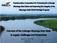 Overview of the Cubango Okavango