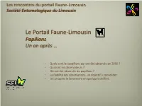 Papillons Un an Après …