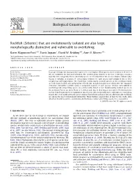 Rockfish (Sebastes) That Are Evolutionarily Isolated Are Also