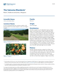 The Satsuma Mandarin1 Peter C