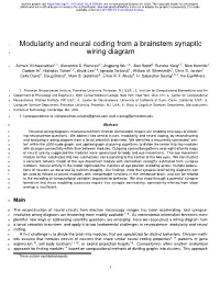Modularity and Neural Coding from a Brainstem Synaptic Wiring Diagram