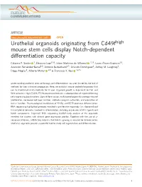 Urothelial Organoids Originating from Cd49fhigh Mouse Stem Cells Display Notch-Dependent Differentiation Capacity