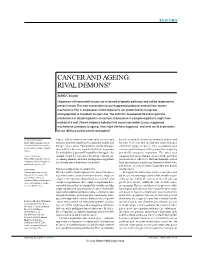Cancer and Ageing: Rival Demons?