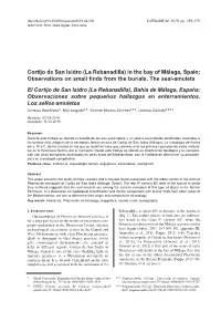 In the Bay of Málaga, Spain: Observations on Small Finds from the Burials