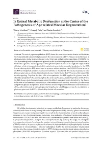 Is Retinal Metabolic Dysfunction at the Center of the Pathogenesis of Age-Related Macular Degeneration?