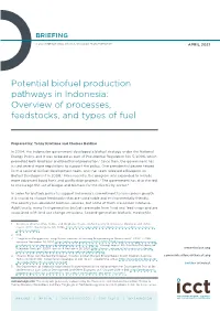 Potential Biofuel Production Pathways in Indonesia: Overview of Processes, Feedstocks, and Types of Fuel