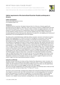 Project Report