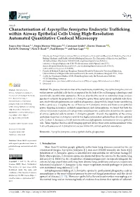 Characterisation of Aspergillus Fumigatus Endocytic Trafficking Within Airway Epithelial Cells Using High-Resolution Automated Q