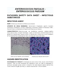Enterococcus Faecalis - Enterococcus Faecium
