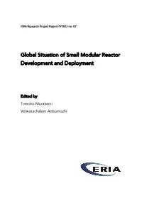 Global Situation of Small Modular Reactor Development and Deployment