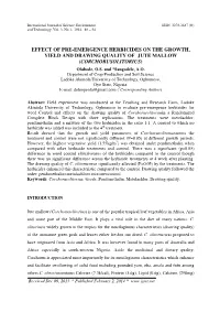EFFECT of PRE-EMERGENCE HERBICIDES on the GROWTH, YIELD and DRAWING QUALITY of JUTE MALLOW (CORCHORUSOLITORIUS) Olabode, O.S