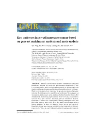 Key Pathways Involved in Prostate Cancer Based on Gene Set Enrichment Analysis and Meta Analysis