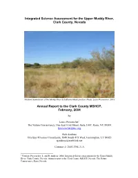 Outline for UMR Annual Report