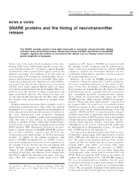 SNARE Proteins and the Timing of Neurotransmitter Release
