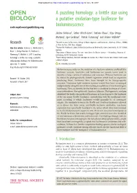 A Puzzling Homology: a Brittle Star Using a Putative Cnidarian-Type