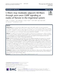 C-Fibers May Modulate Adjacent Aδ-Fibers Through Axon-Axon CGRP Signaling at Nodes of Ranvier in the Trigeminal System Jacob C
