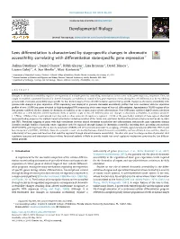 Lens Differentiation Is Characterized by Stage-Specific Changes In