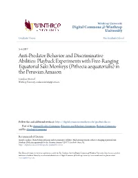 Anti-Predator Behavior and Discriminative Abilities: Playback
