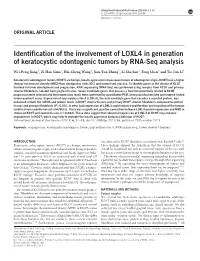 Identification of the Involvement of LOXL4 in Generation of Keratocystic Odontogenic Tumors by RNA-Seq Analysis